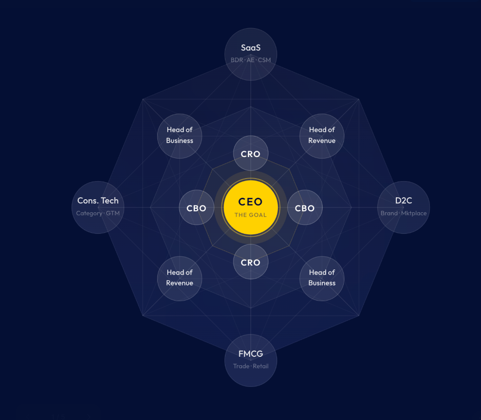 Revenue roles career path from SaaS, D2C, Consumer Tech and FMCG to CEO